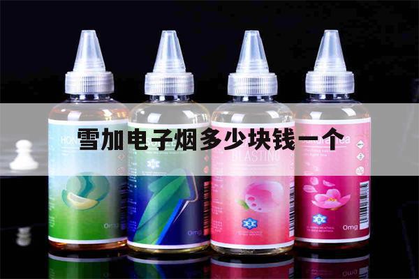 雪加電子煙多少塊錢一個(雪加電子煙多少塊錢一個合適)-第1張圖片-番響電子煙
