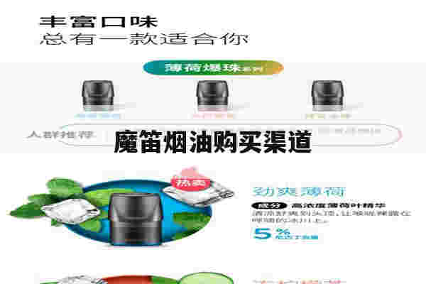 魔笛煙油購買渠道(哪里買魔笛s注油的煙油)-第1張圖片-電子煙煙油論壇