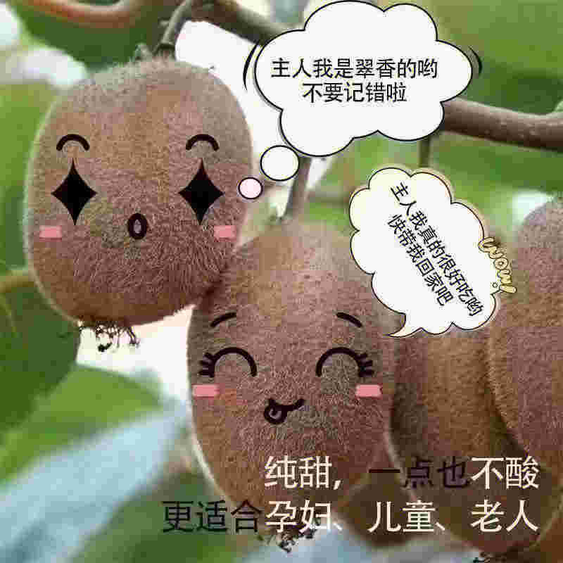 綠果清新，柚子煙彈西瓜藍莓口味實力悄悄上線的簡單介紹-第2張圖片-電子煙煙油論壇