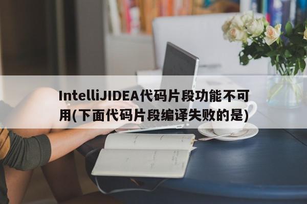 IntelliJIDEA代碼片段功能不可用(下面代碼片段編譯失敗的是)