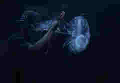 電子煙，是戒煙良方還是助吸推手？