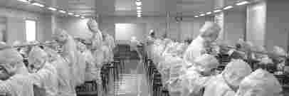 北極豚，北極豚電子煙，北極豚電子煙官網