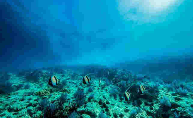 南方能源3天漲4倍 誰來為交易制度買單？