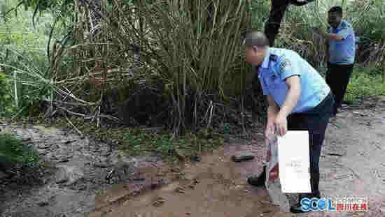 萌萌鼬獾跑到村民家中賴著不走 民警送其“回家”