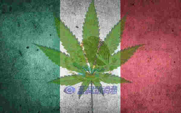 剛剛，墨西哥正式通過大麻合法化，成為全球第三個大麻完全合法化的國家！ 