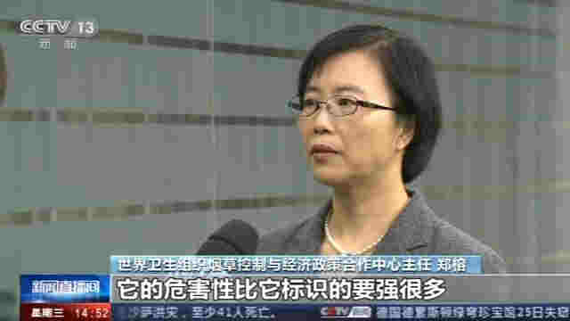 警惕！中國電子煙用戶達千萬人 莫讓青少年誤入電子煙迷途 