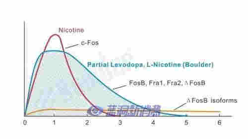 鉑德新品首發：插畫印象版KATE Graffiti，潮流視覺，全新升級 