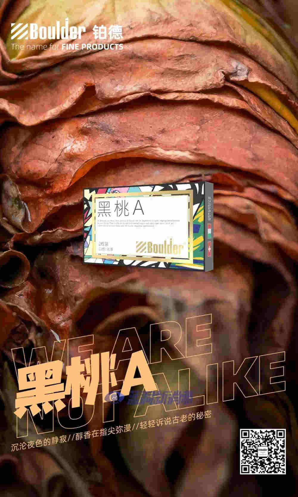 鉑德新品首發：插畫印象版KATE Graffiti，潮流視覺，全新升級 