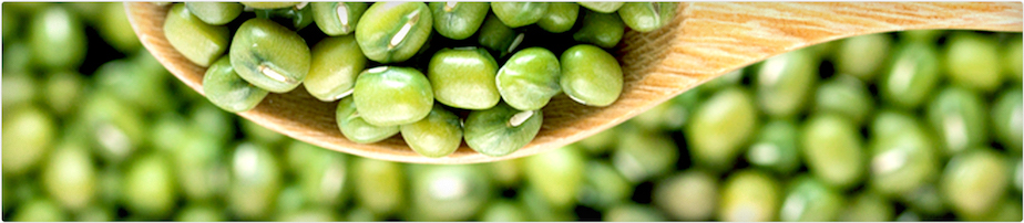 vvild小野煙彈口味怎么樣？口味推薦 