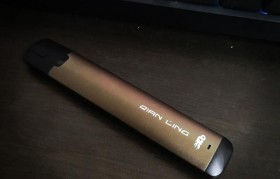 電子煙霧化器內部結構圖_壓縮霧化器內部結構圖