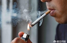 電子霧化器清肺，電子霧化器對身體有危害嗎