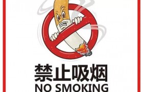 thanks電子煙 幾代？Thanks電子煙