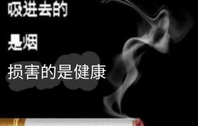 蒸汽煙霧化器糊_電子煙新換的霧化器也有糊味