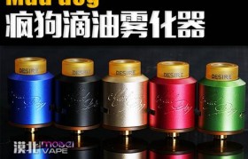 電子煙賽級霧化器是啥(蒸汽煙霧化器對身體有害嗎)